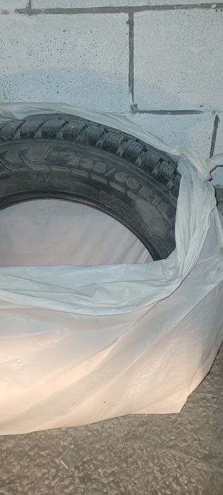 Зимняя шипованная шина