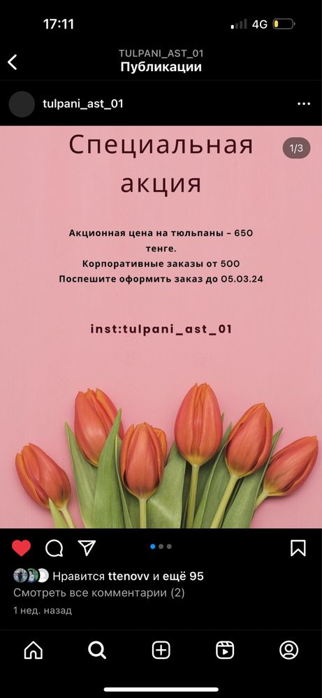 Тюльпаны Цветы астана