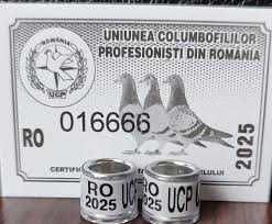 Inele porumbei  2025 cu talon FCI,UCP,FRCS,EE si cleme