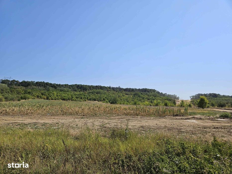 De vânzare teren situat în Podu Broșteni, Argeș