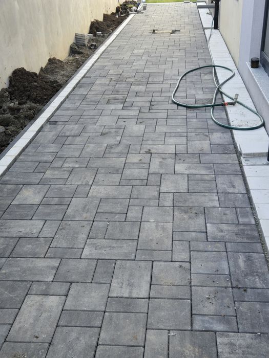 Pavele Borduri Montatori