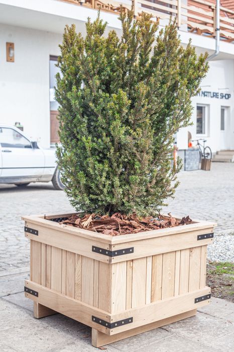 Ghivece premium din lemn de stejar