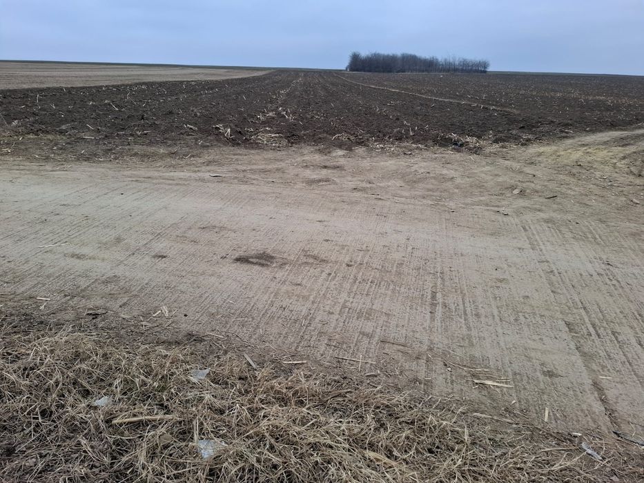 Teren Horlești/Rediu