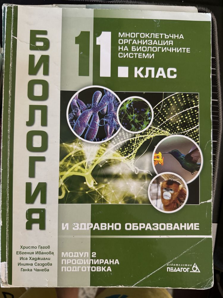 Подготовка по химия и биология за медицински университет