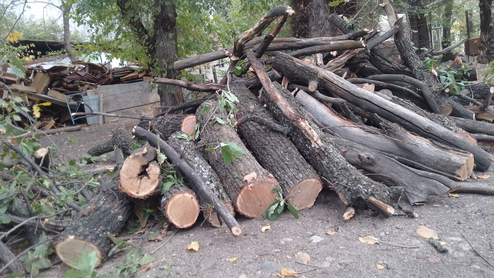 Дрова, карагач, дуб бесплатно