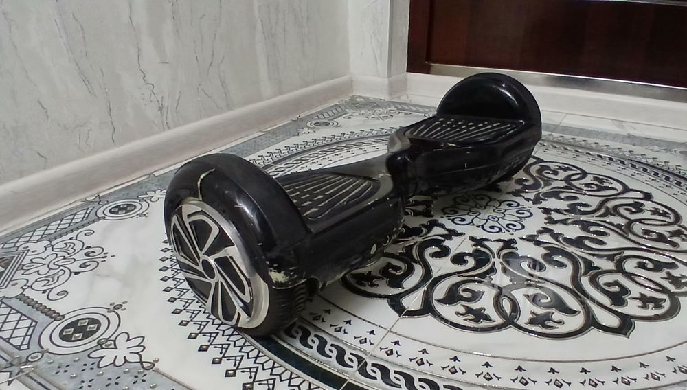 Elektor Sigway sotiladi