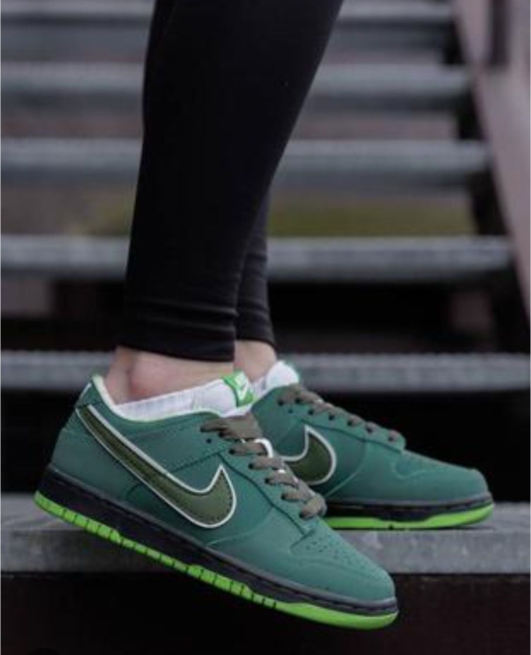 Nike Sb Dunk Low