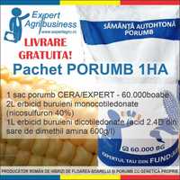 Pachet Porumb CERA \ EXPERT 1HA - fao 320-450