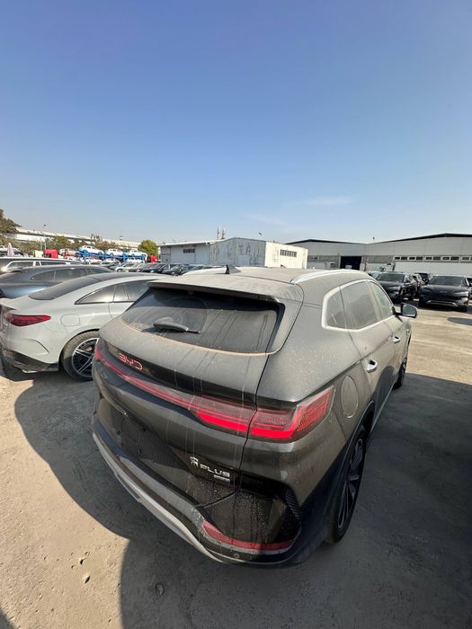 Byd chempion smart