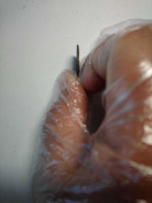 5 стотинки от 1881 г. България 1881 г.