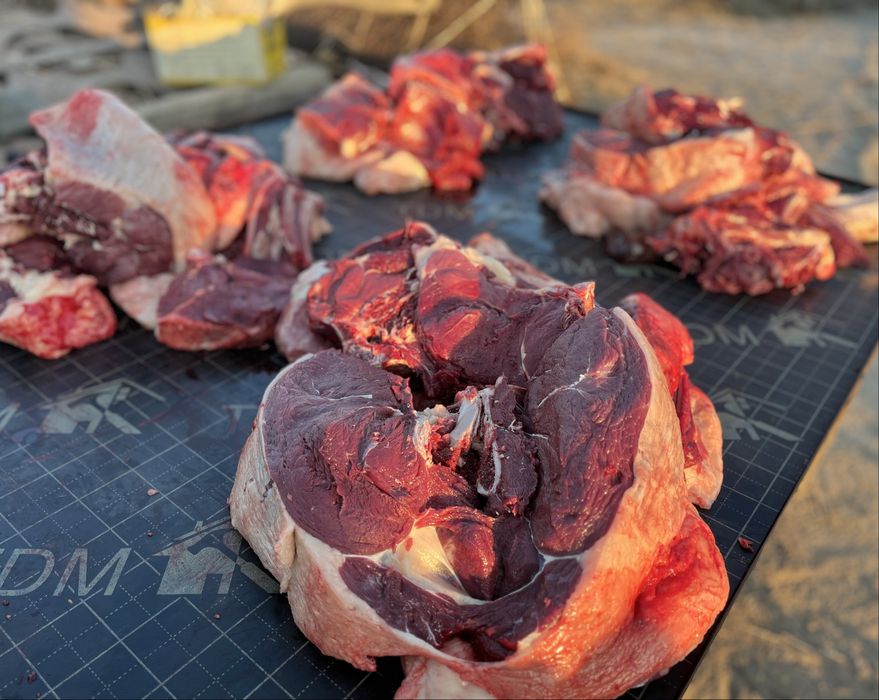 Жілік ет мясо согым