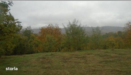 Teren faneata Vizantea Livezi;  ID: R2800475