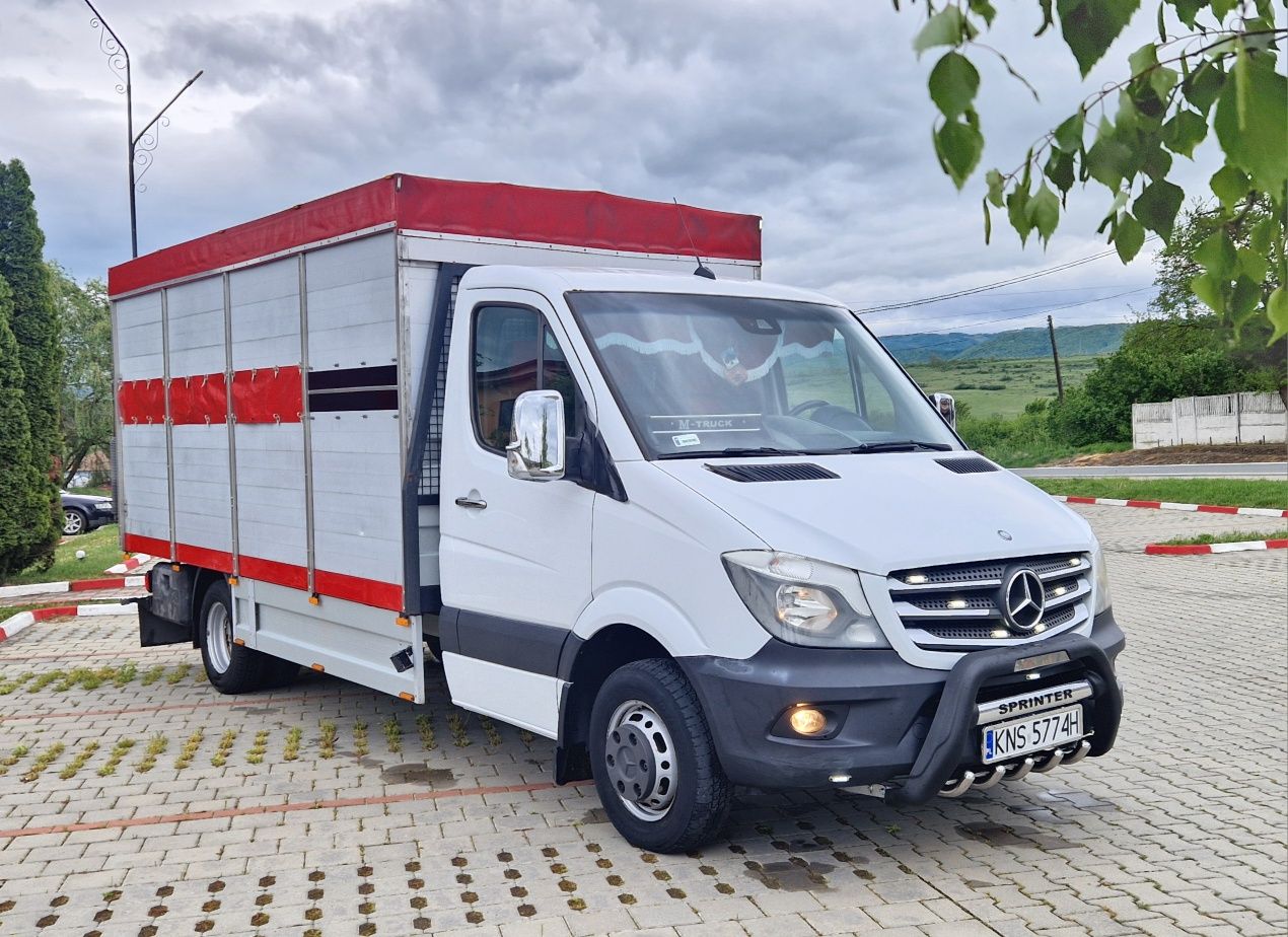 Mercedes sprinter 516 2017 transport animale 519 518 iveco daily 35c18