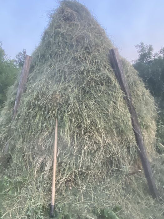 Vand stog de lucerna nou