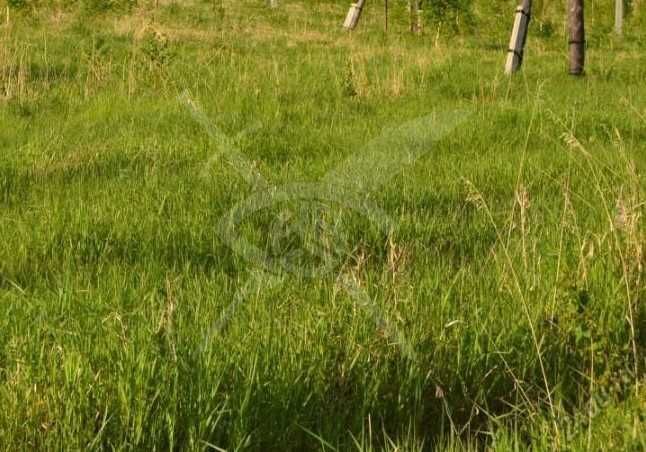 Парцел в Дедево 89299