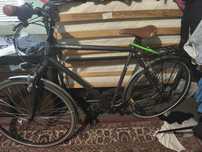 Bicicleta Adulti
