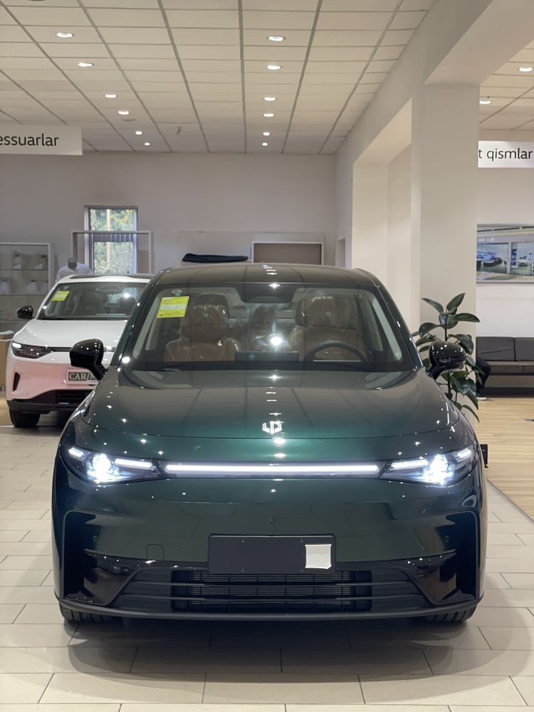 Leapmotor C10 EV Smart dop Full
