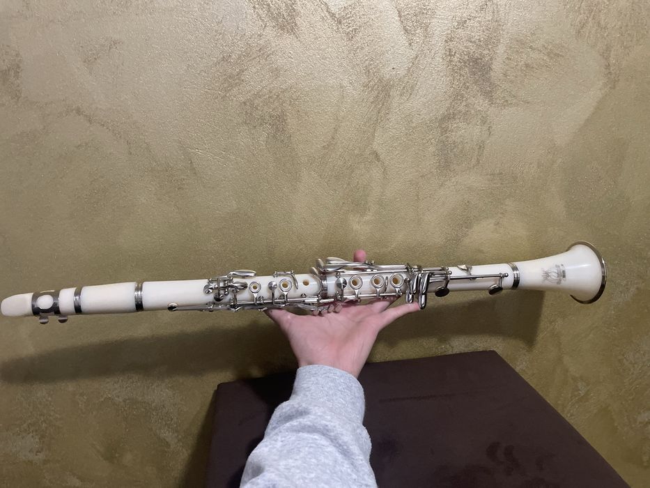 Clarinet Parrot complet – stare excelentă, 600 lei negociabil