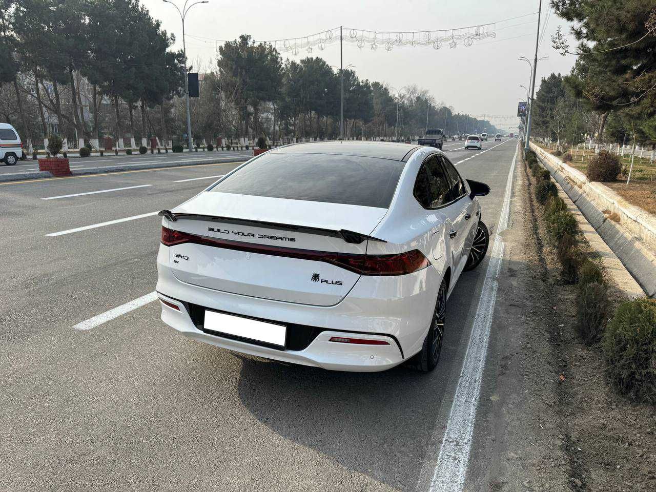 BYD Qin EV 600KM excellence type