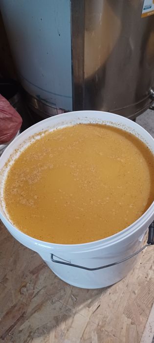 Vând miere  poliflora, floarea-soarelui, rapiță