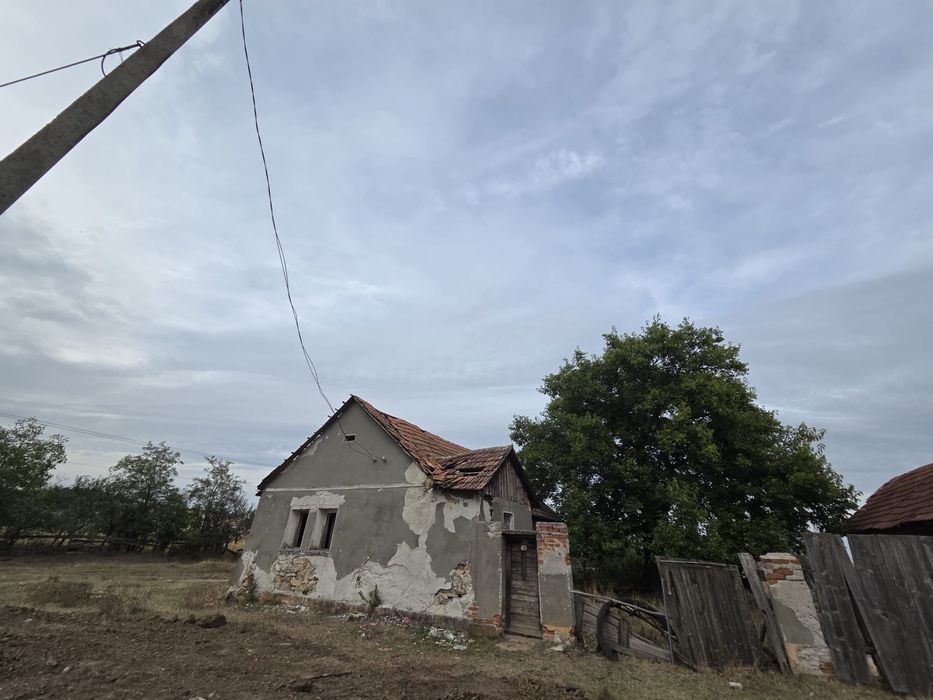 Vand teren in agrisu mare