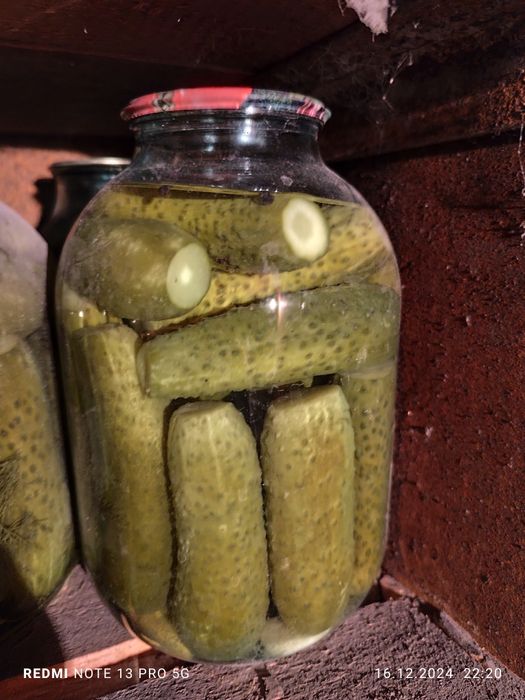 Продается солёные огурцы
