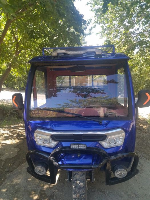 Електра мураве янги