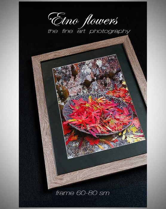 Картина. Коллекция, подарок.