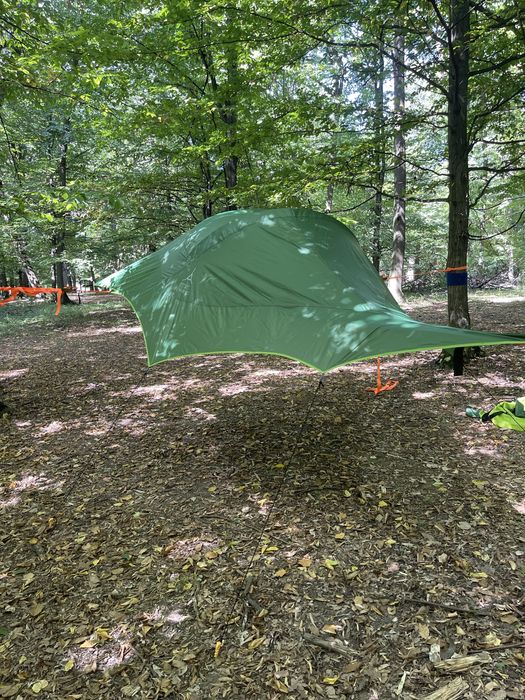 Cort Tentsile connect 2 (3.0)