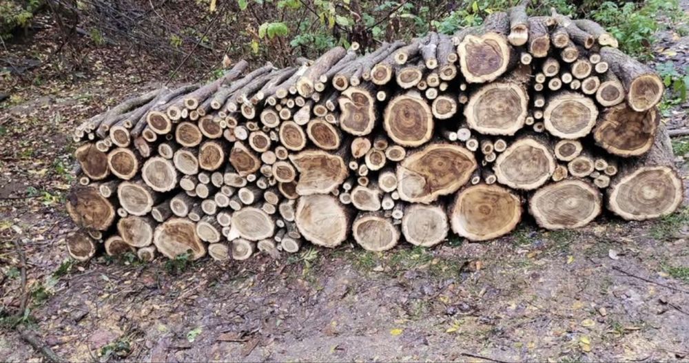 Vand lemn de foc sub pretul pietei