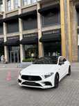 Cls 53 amg 2019 full carbon