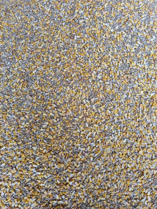 Cereale amestec Porumb Grâu Orz