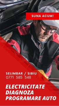 Electrician auto in Sibiu si Selimbar