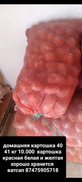 Картошка домашняя идеально подходит для хранения на зиму