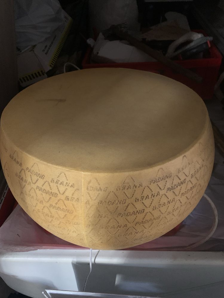 Forma de plastic Grana Padano