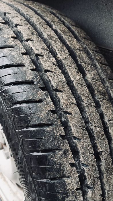 Remorca transport animale (cai) Böckman Classic