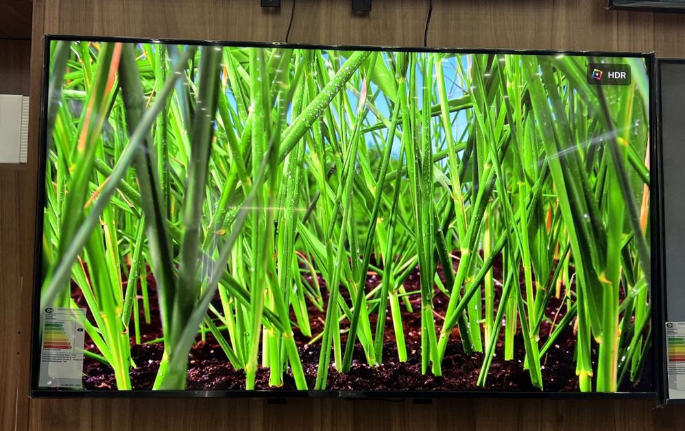 Immer Televizor 43/50/55/65/75/85 Android Smart 4K Доставка бесплатно