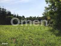Teren 1460 mp intravilan de vanzare , Tăuții-Măgherăuș
