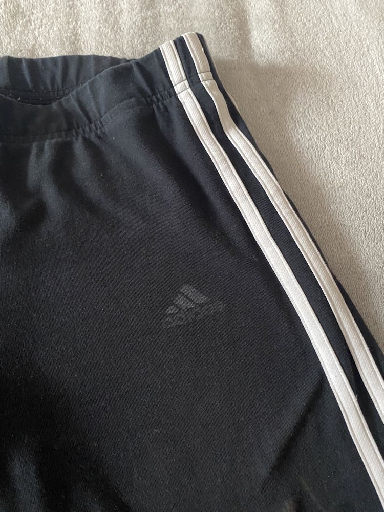 Colanti adidas S