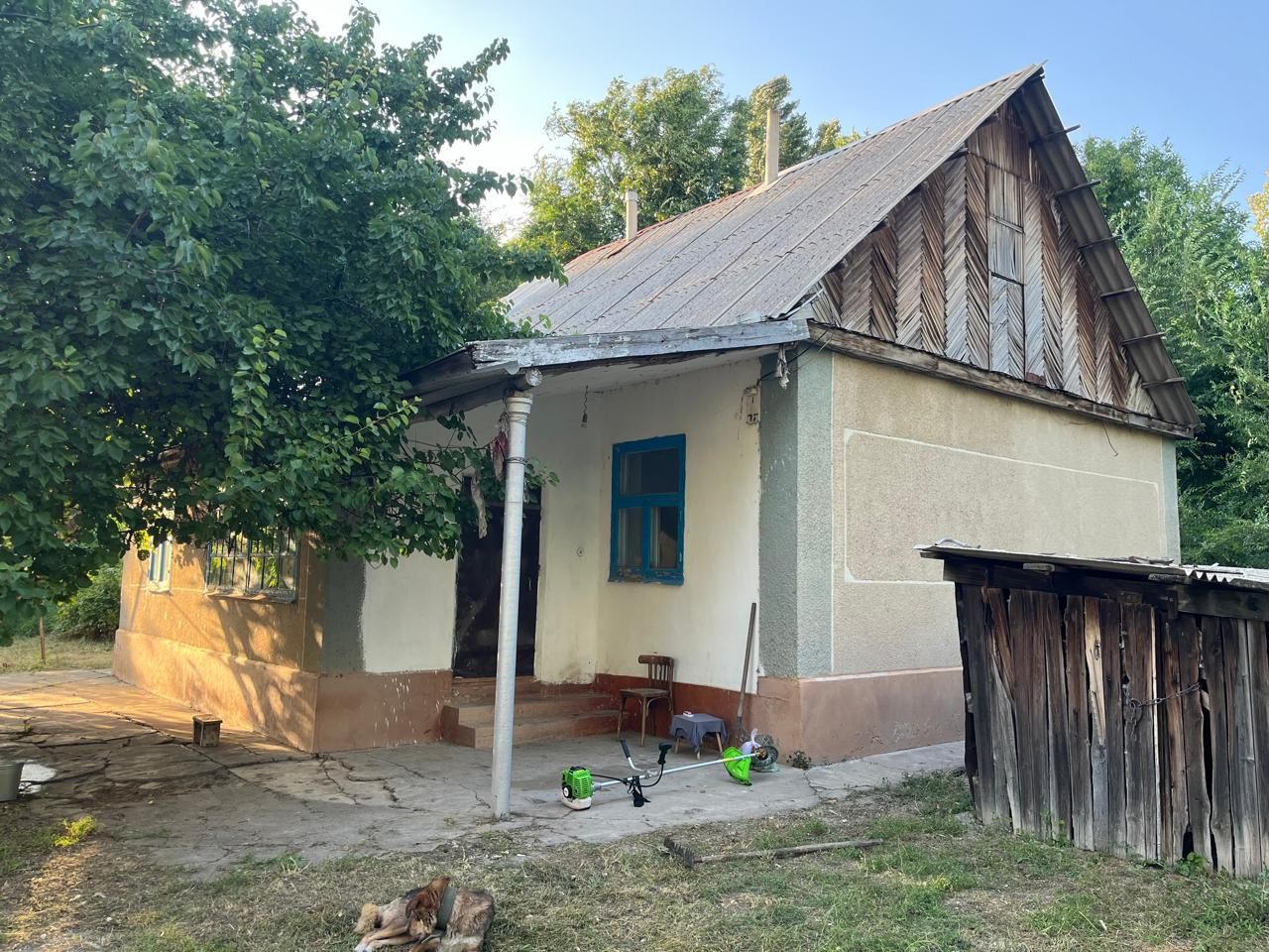 Түлкібас ауылында Уй сатылады