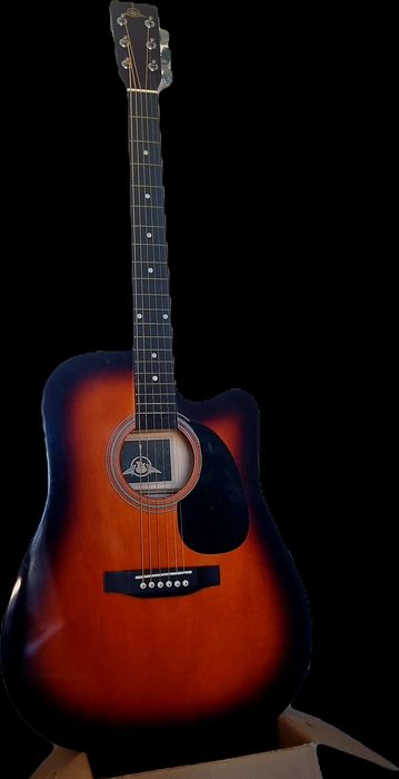 Chitara acustica - Wings Guitar