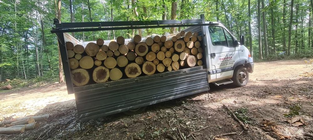 Lemn de foc transport inclus