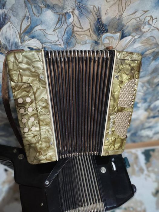 Советский музыкальный инструмент