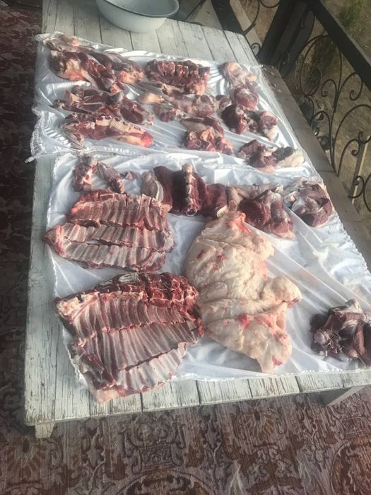 Qochqorlar qurbonlik va exsonlar uchun