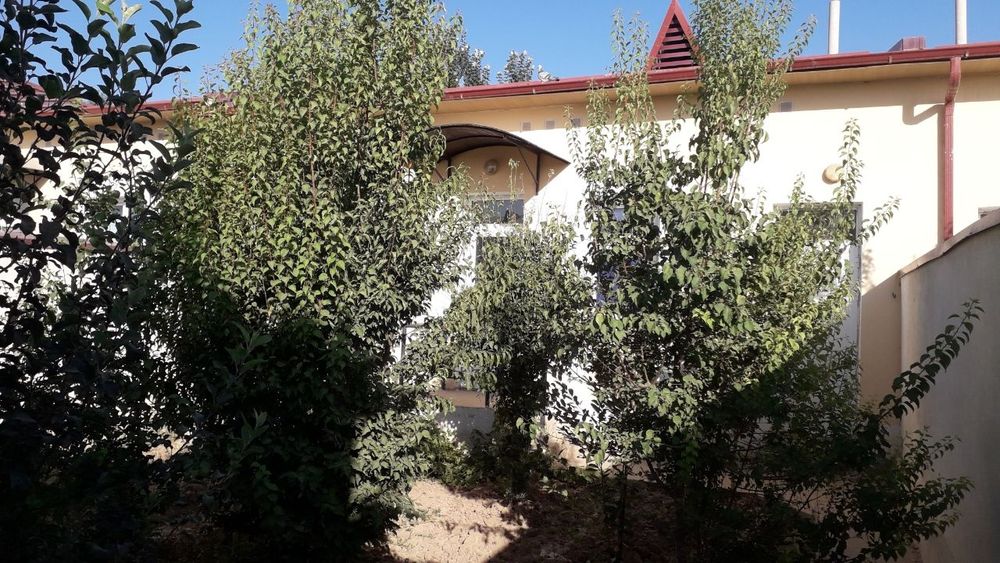 Namunali uylar xamma sharoit bor