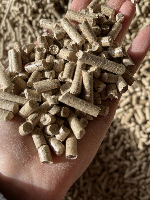 Peleți din rășinoase