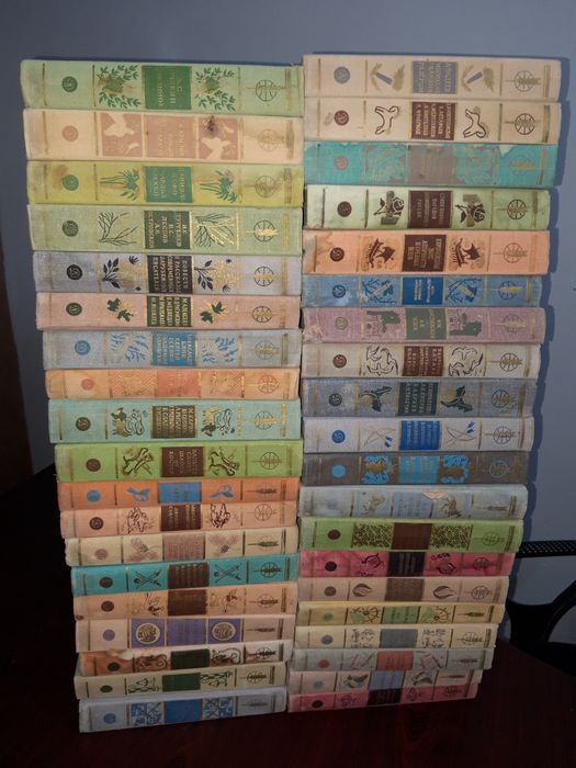 Лучшие авторы мира для Вас