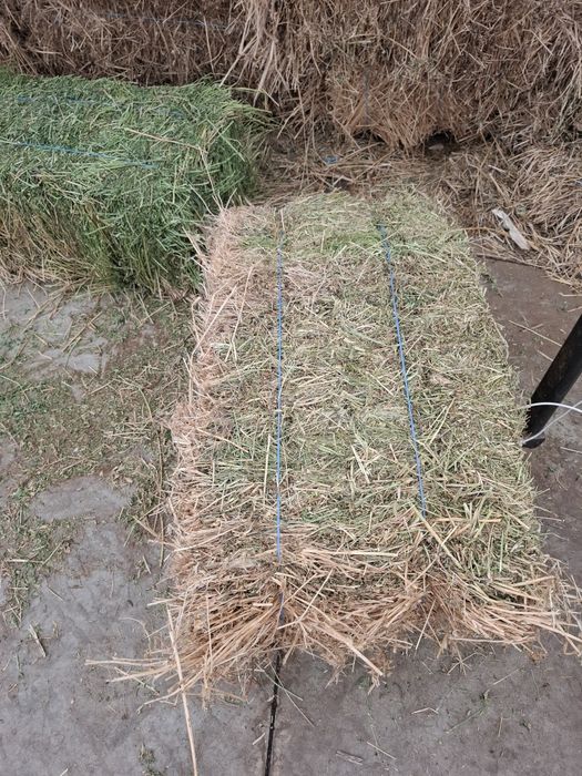 Vand baloti de lucerna