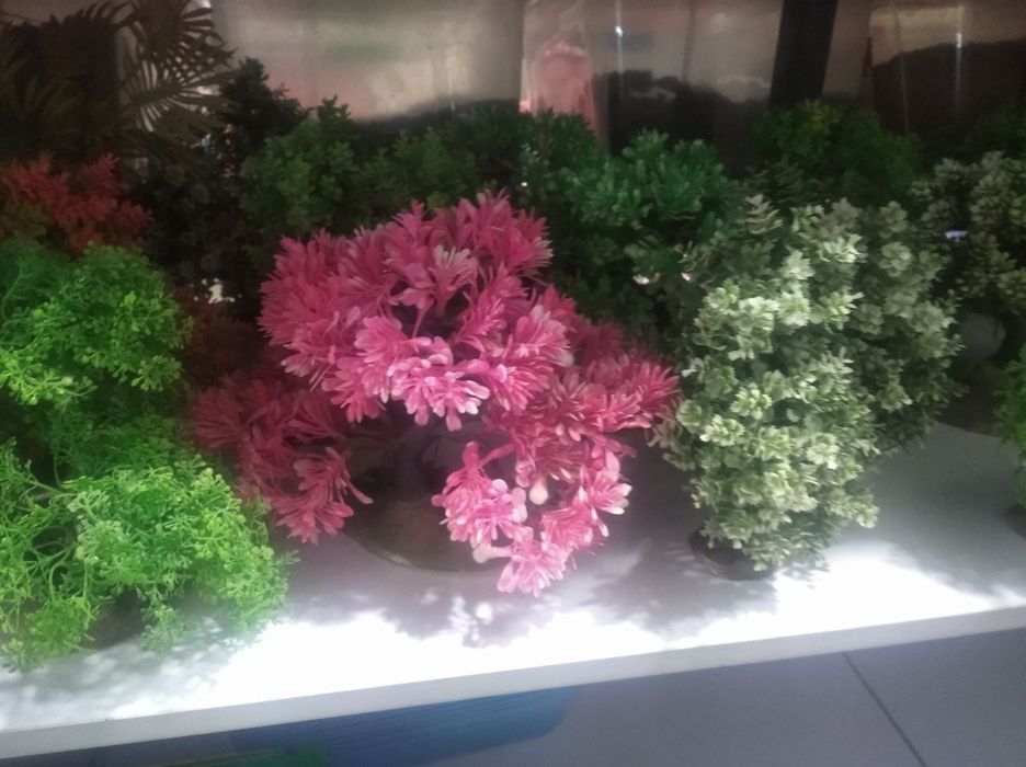 Аквариум овальные