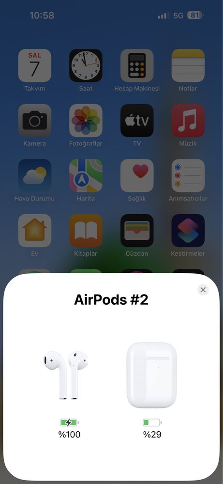 Apple Airpods 2 със уникален кейс